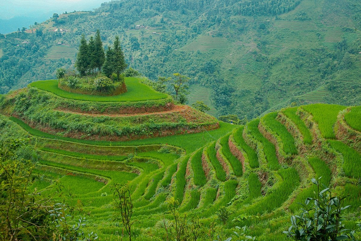Ruộng bậc thang vùng cao